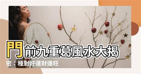 門前種九重葛風水|九重葛風水擺設指南：招財旺運，避開騰蛇勾絞煞 